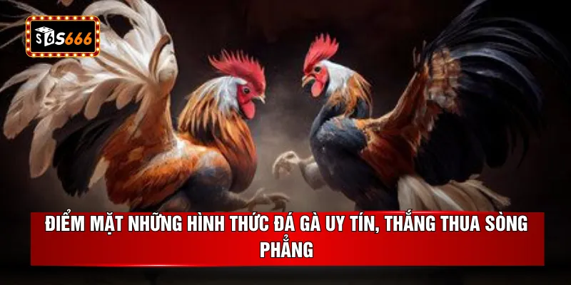 Điểm mặt những hình thức đá gà uy tín, thắng thua sòng phẳng