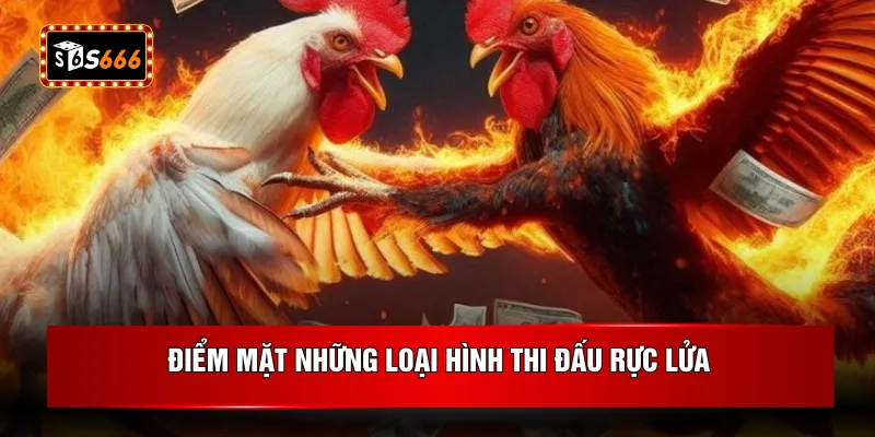 Điểm mặt những loại hình thi đấu rực lửa