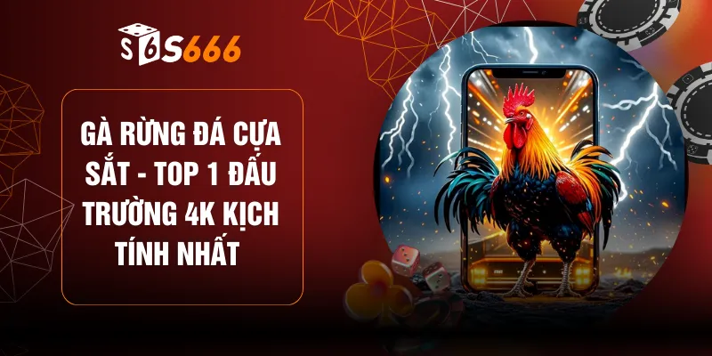 Gà Rừng Đá Cựa Sắt - Top 1 Đấu Trường 4K Kịch Tính Nhất 