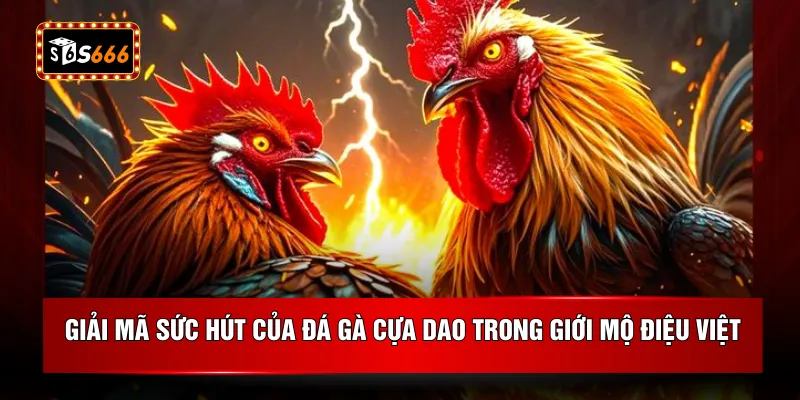 Giải mã sức hút của đá gà cựa dao trong giới mộ điệu Việt