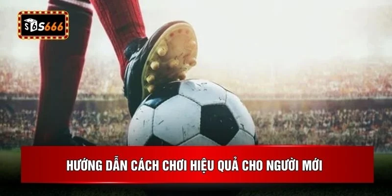 Hướng dẫn cách chơi hiệu quả cho người mới 