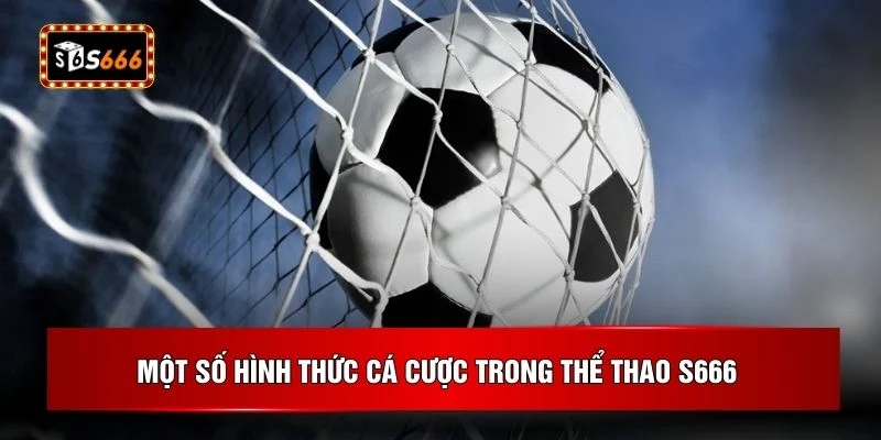Một số hình thức cá cược trong thể thao S666 